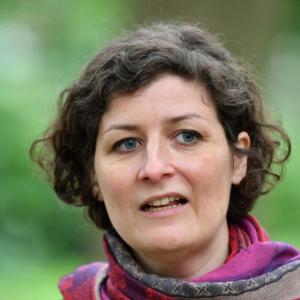 Zone à faibles émissions. Crit’Air 2 en 2028: Barseghian justifie sa position