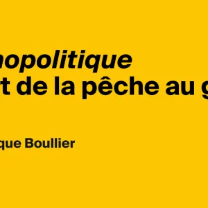 Technopolitique ou l’art de la pêche au gros