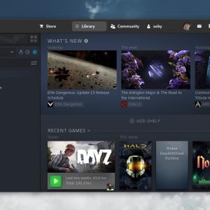 Check Out This Awesome Adwaita Theme for Steam Linux Client