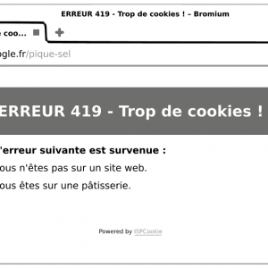 Les Connards Pro™, capter les données des cons–