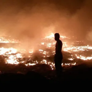 « Indivision », la forêt brûle et les boomers regardent ailleurs