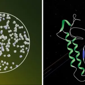 Moliverse ou la Fusion du Micromonde et de l’Univers