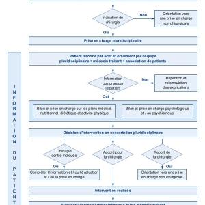 L’émission « Opération Renaissance » sur M6 provoque la colère des militantes anti-grossophobie