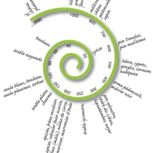 Espérance de vie des arbres