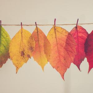 Represent State with HTML Attributes, Not Class Names | Aleksandr Hovhannisyan