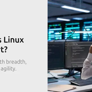 What is Linux Support