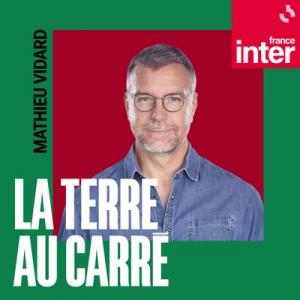 Activisme climatique : sur une ligne à hautes tensions ?