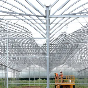 Conseil municipal de Strasbourg. Subventions aux structures d’insertion : « des salariés en souffrance » aux Jardins de la Montagne Verte ?