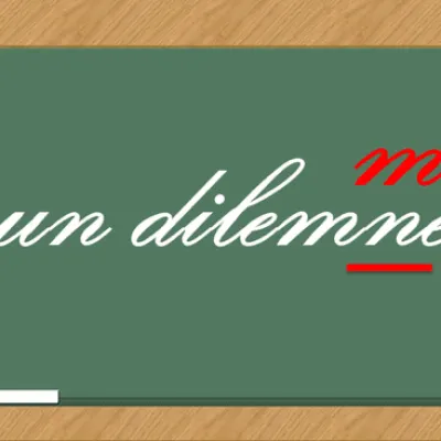Examens 2026 : fautes d’orthographe ou de gouvernance ?