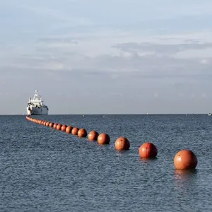 Le câble, les herbiers de Posidonie et tous les autres encore