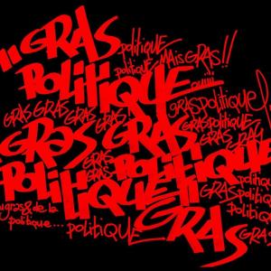 Graspolitique se bat contre la grossophobie