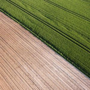 Sorry—organic farming is actually worse for climate change