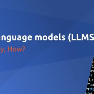 Large language models (LLMs): what, why, how?