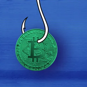 Cryptomonnaies : vols et failles à répétition chez Waltio, gestionnaire de données fiscales de détenteurs français