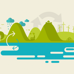 Le web écologique : Comment nous pouvons créer des sites Web sans carbone