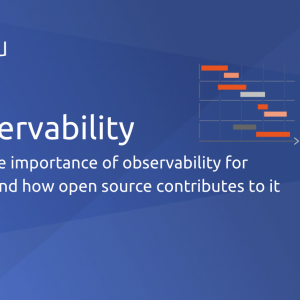 ML Observability: what, why, how