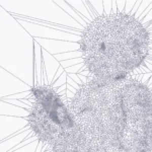 Qui est l’utilisateur des LLM ?