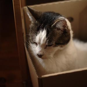 Alternatives à Framaboard (Kanboard)