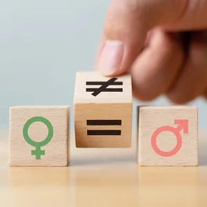 Évolution des inégalités entre les femmes et les hommes : faut-il se réjouir ou se désoler ?