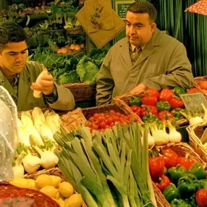 Chèques alimentaires, quotas… Cinq mesures pour faire redécoller le bio