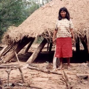 La survie des Ayoreo, un peuple non-contacté, est menacée par l’agroindustrie