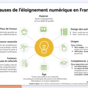 Causes de l'éloignement numérique en France | Les Bases du numérique d’intérêt général