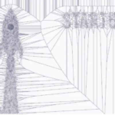Dans les algorithmes | Startups : le mythe est nu