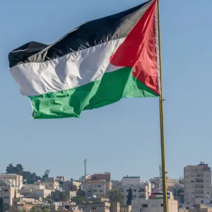 Reconnaissance de l'État de Palestine par la France : qu'est-ce que ça peut changer ?