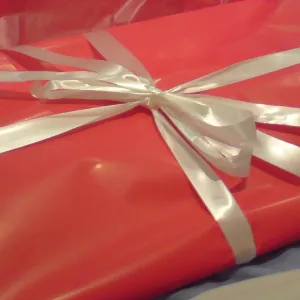 Should form labels be wrapped or separate? - TPGi