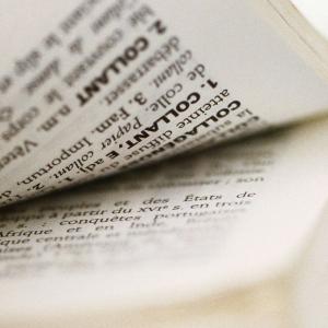 « Métavers », « crypto-art », « instagramable » : Le Robert se met à la page du numérique !
