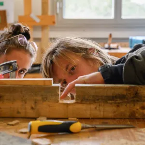 Vœux sur Parcoursup : notre guide ultime des formations à choisir pour travailler dans l’écologie