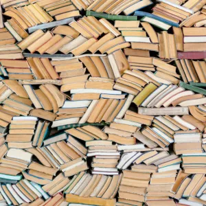Anthropic destroyed millions of print books to build its AI models