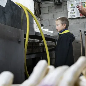 Quand les consommateurs s'invitent à la ferme
