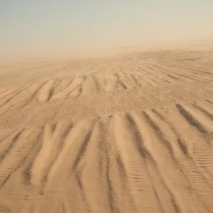 En Algérie, les chercheurs d’or privés de désert