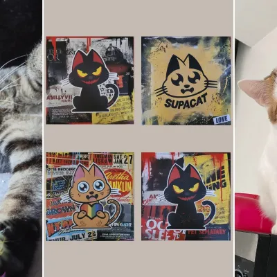 Ce week-end, une asso strasbourgeoise propose de sauver des chats en gagnant des œuvres