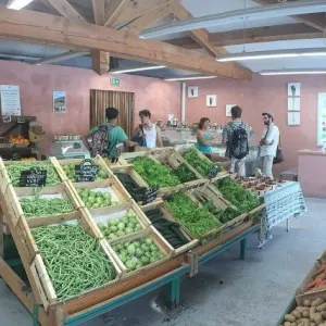 Alimentation bio et santé : ce que dit la science