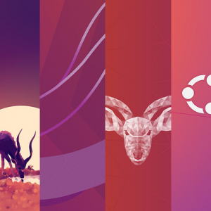 Kudos for Kudu Customization