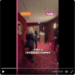83% des femmes victimes de viol sont des sales connes (selon Brigitte Macron).