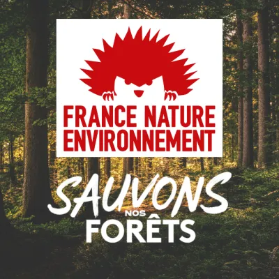 Sauvons nos Forêts en Direct sur France 2 : les équipes de Boscop en soutient sur l’hébergement