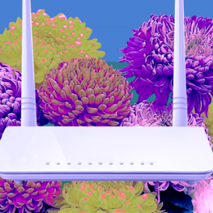 COMPOST Issue 01: Sacred Servers by Zach Mandeville