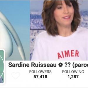 Non, le compte Sardine Ruisseau n'a pas été censuré par Twitter (et c'est regrettable)