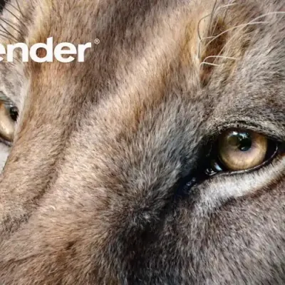 Blender 5.2 LTS enterre les modificateurs physiques au profit d’un système 100 % nodal