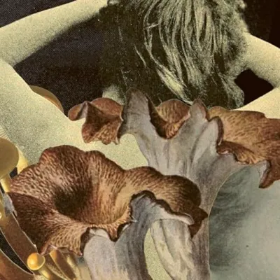Pour sauver l’humanité, seriez-vous prêt à vous reproduire avec des champignons ?