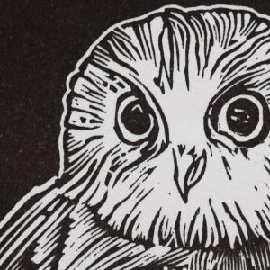 La coopérative noesya • noesya