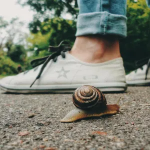 La décroissance ? C’est bien gentil, mais…