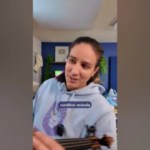 Cheval VS jument : qui a la meilleure queue ?