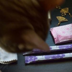 Menstruations : à chacune ses règles