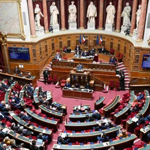Le Sénat vote un rance texte antitrans