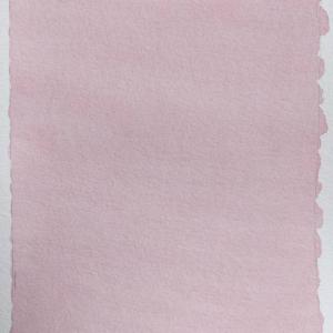 J'ai réussi un lavis à l'aquarelle - Blog artistique de Delphine M.