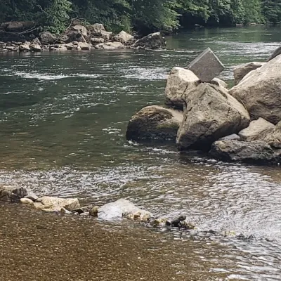 Classe de rivière : apprendre au fil de l’eau